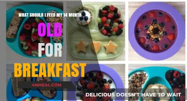 Nutritious Breakfast Ideas for Your 14-Month-Old Toddler to Thrive