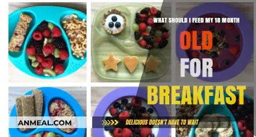 Nutritious Breakfast Ideas for Your 18-Month-Old Toddler to Thrive