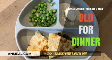 Nutritious and Delicious Dinner Ideas for Your 2-Year-Old Toddler
