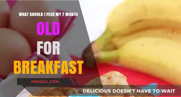 Nutritious Breakfast Ideas for Your 7-Month-Old Baby's Healthy Start