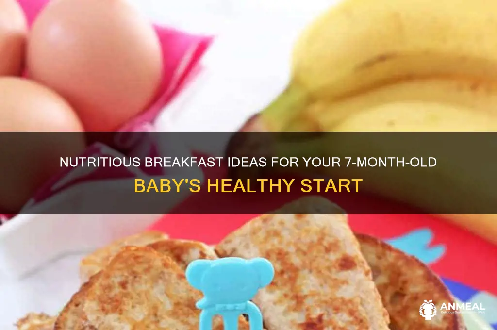 what should i feed my 7 month old for breakfast