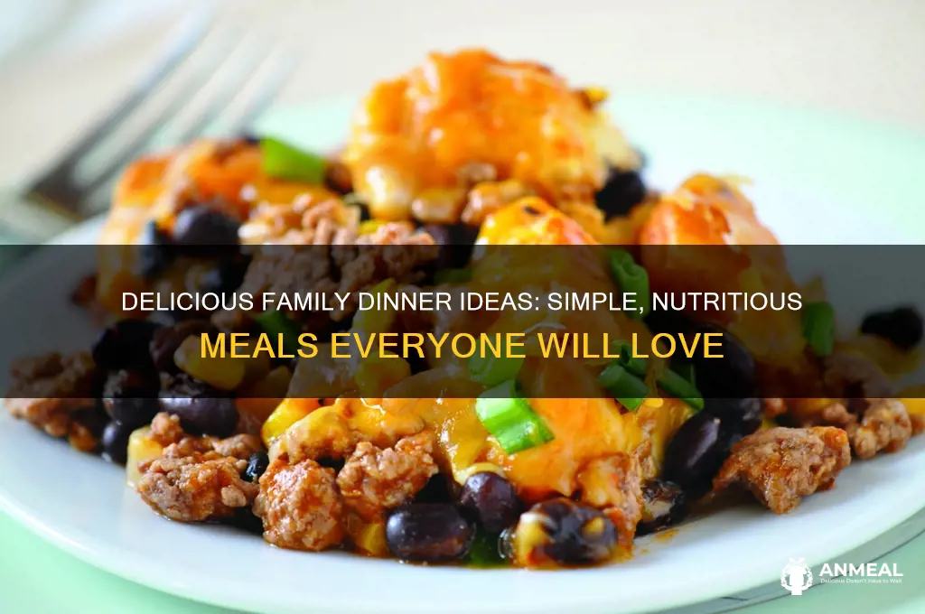 what should i feed my family for dinner