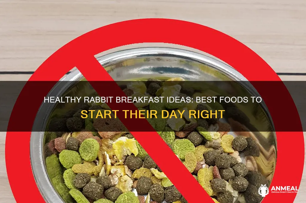 what should i feed my rabbit for breakfast