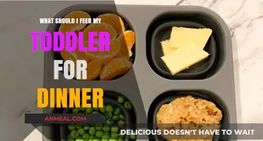Nutritious Toddler Dinner Ideas: Simple, Healthy, and Kid-Approved Meals