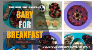 Healthy Breakfast Ideas for Your 20-Month-Old Toddler to Start the Day