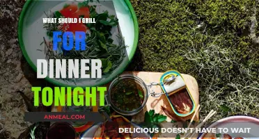 Sizzling Dinner Ideas: Perfect Grill Recipes for Tonight's Feast