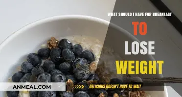 Breakfast Ideas to Support Your Weight Loss Journey