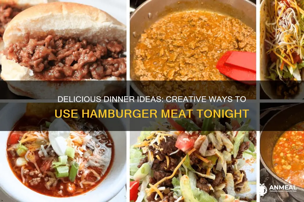 what should i have for dinner hamburger meat