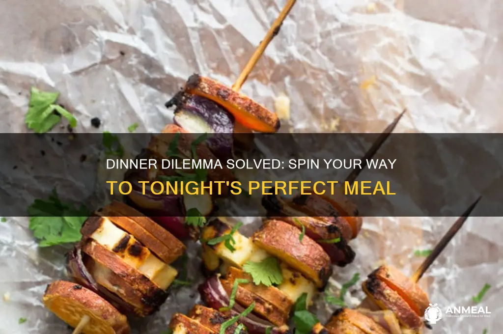 what should i have for dinner spinner