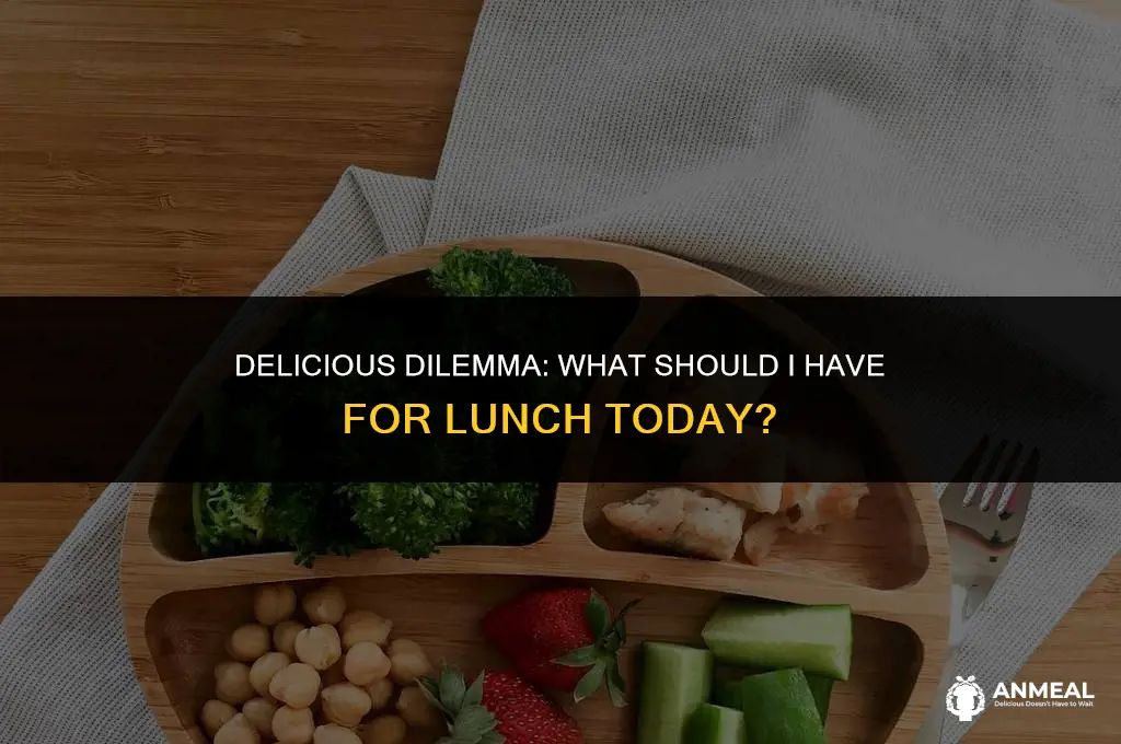 what should i have for lunch