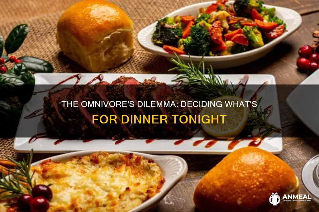 what should we have for dinner the omnivore