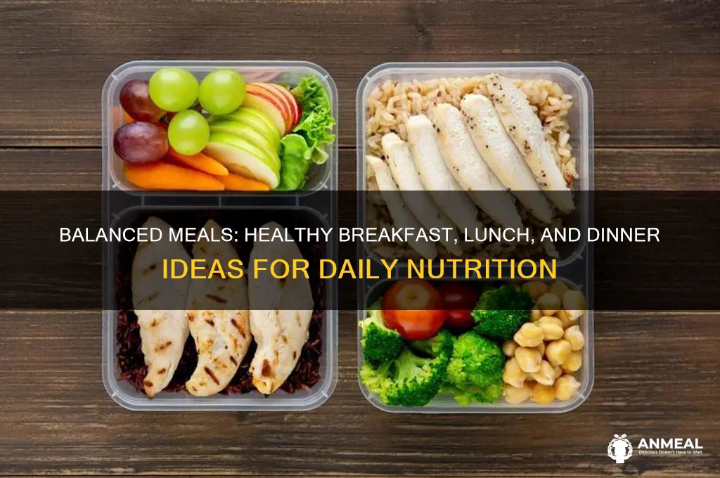 what should we take in breakfast lunch and dinner