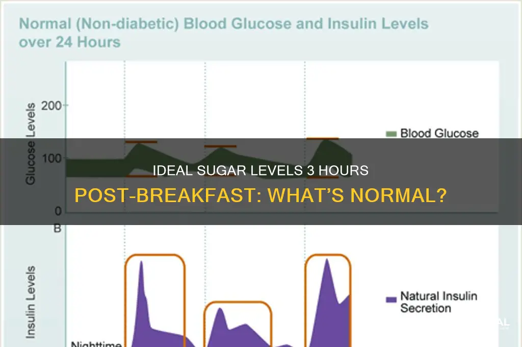 what should your sugar reading be 3 hours after breakfast
