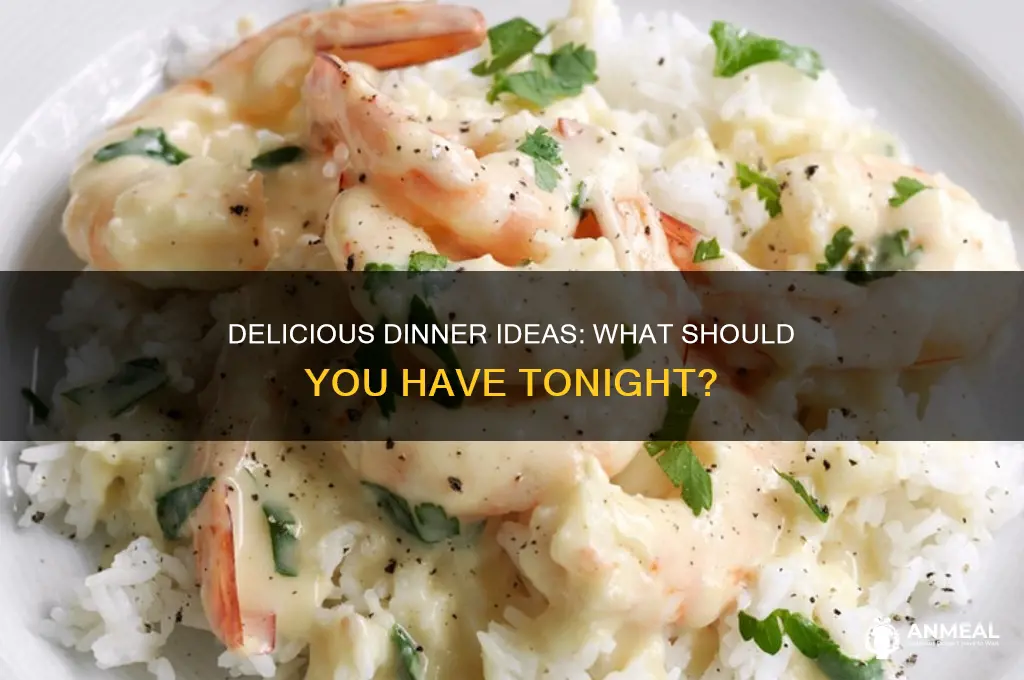 what shouldni have for dinner
