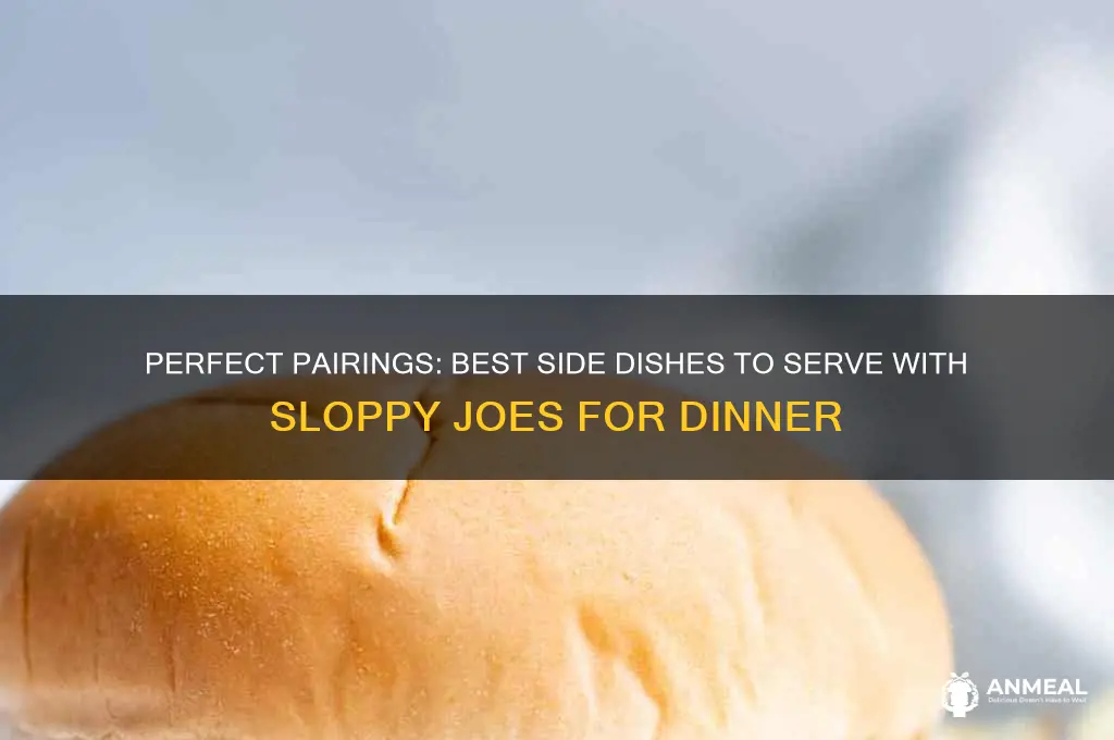 what side dish goes well with sloppy joes for dinner