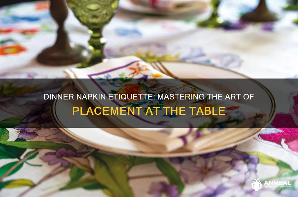 what side do dinner napkins go on