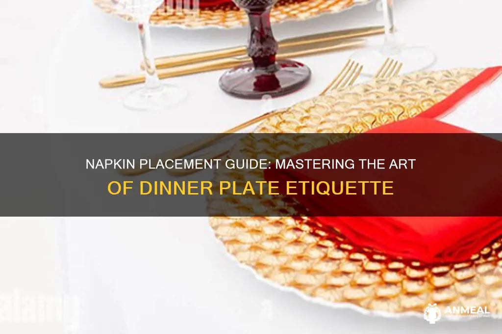what side of the dinner plate does the napkin go