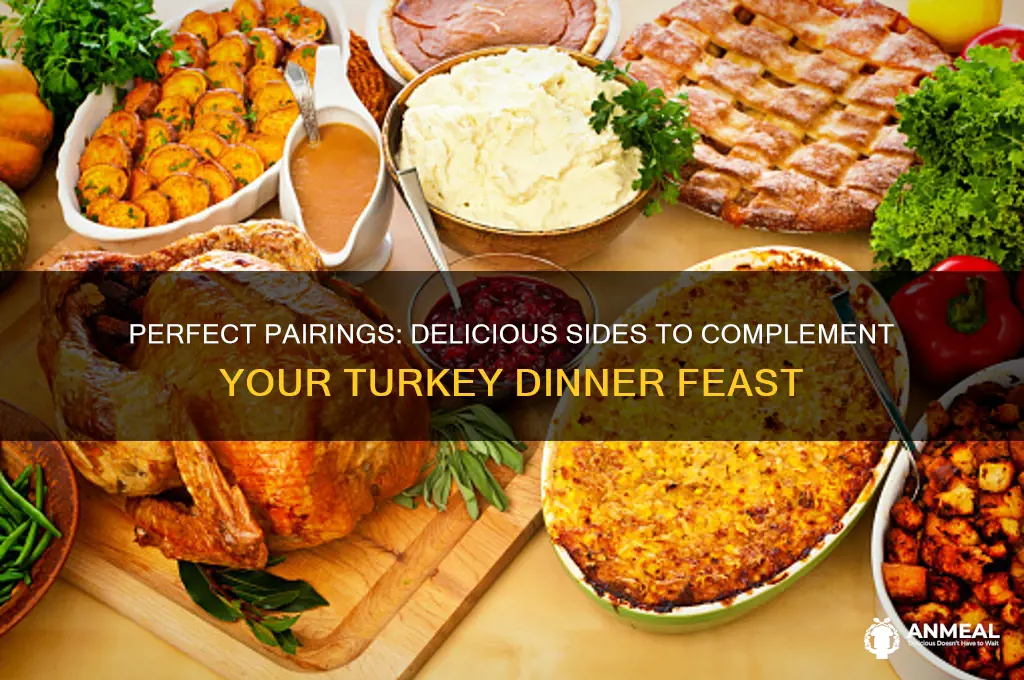 what sides go with turkey dinner