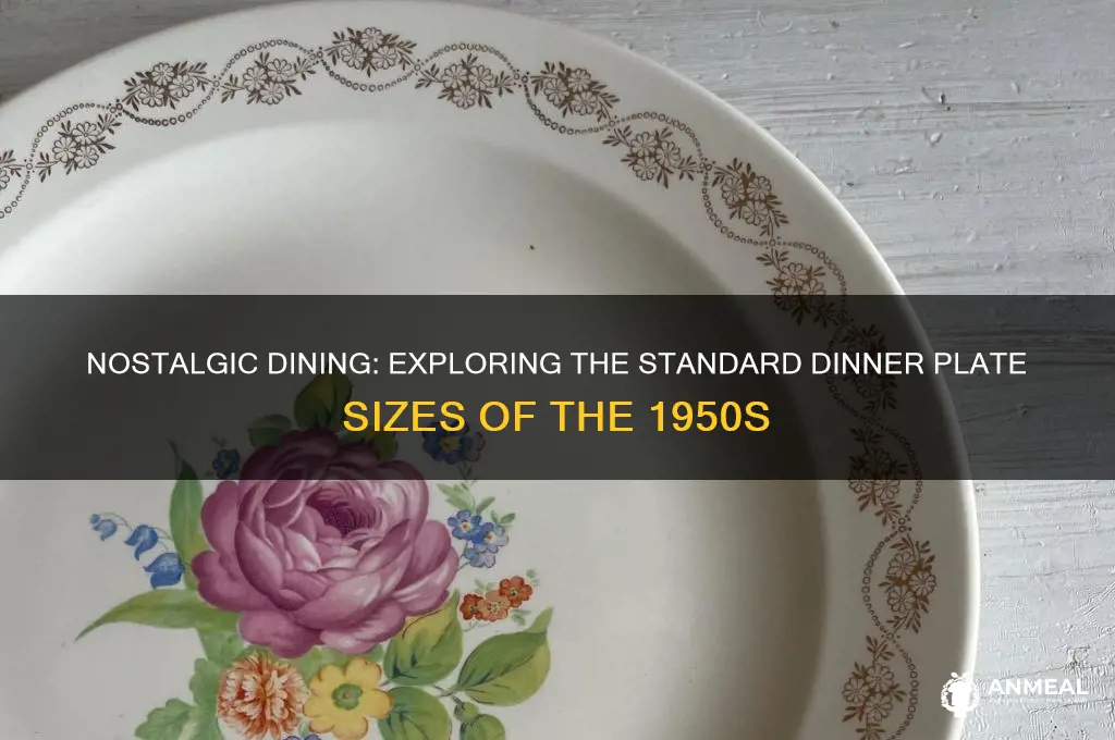 what size are dinner plates in the 1950s