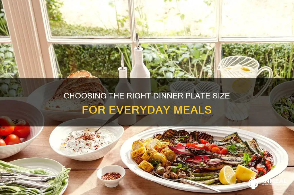 what size are normal dinner plates