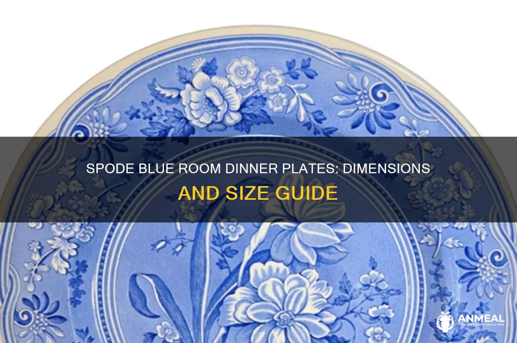what size are spode blue room dinner plates