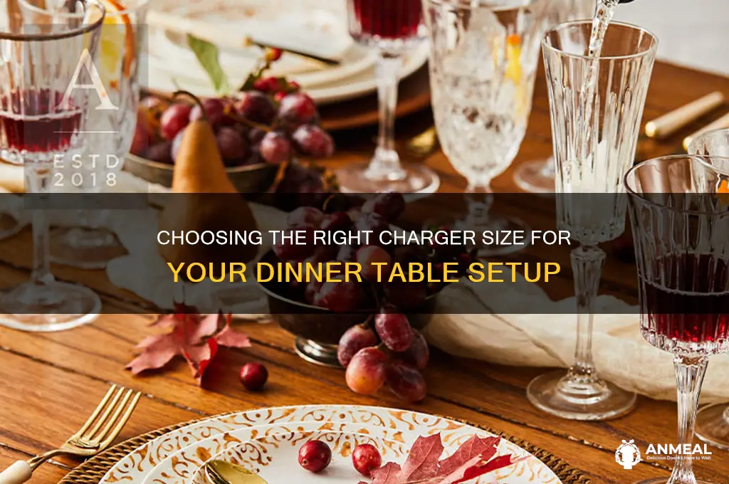 what size charger for dinner