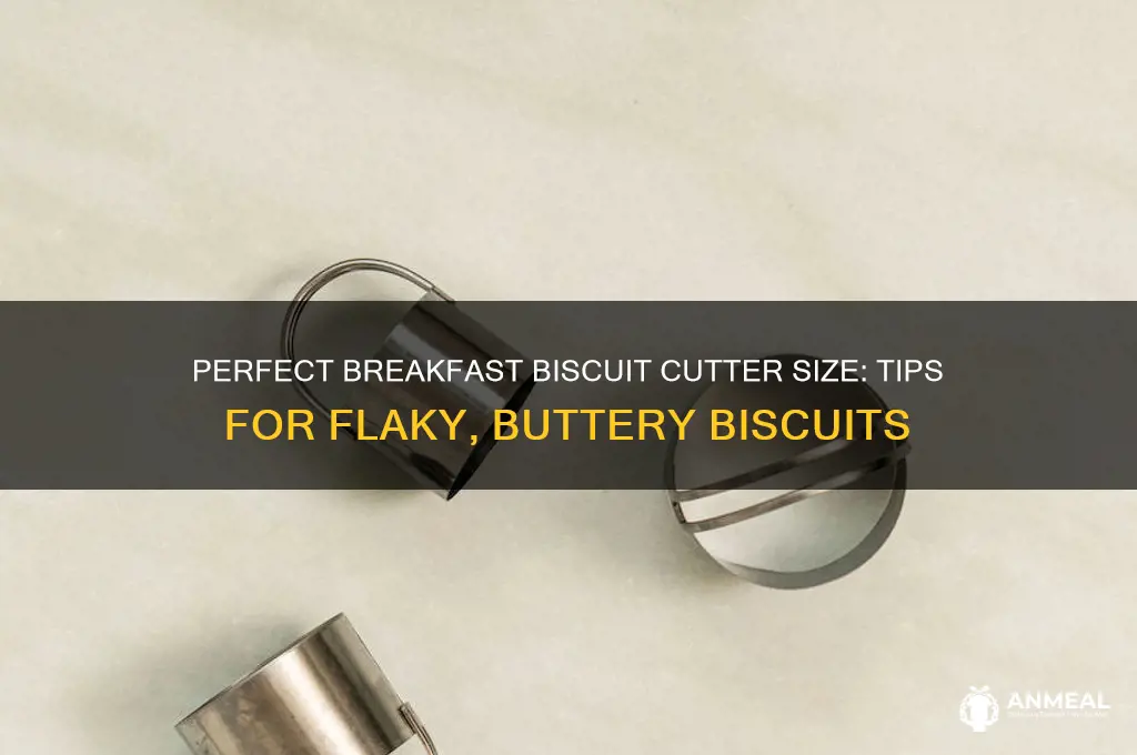 what size cutter for breakfast biscuit