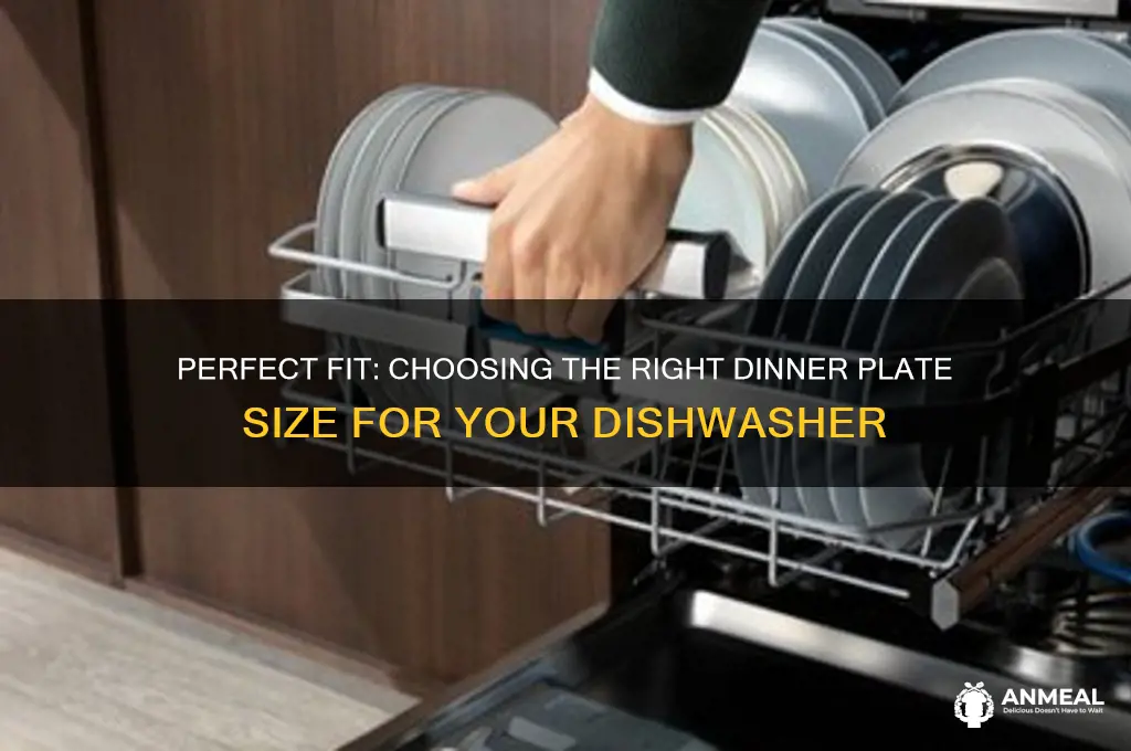 what size dinner plate fits in a dishwasher