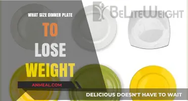 Right Dinner Plate Size for Effective Weight Loss Strategies