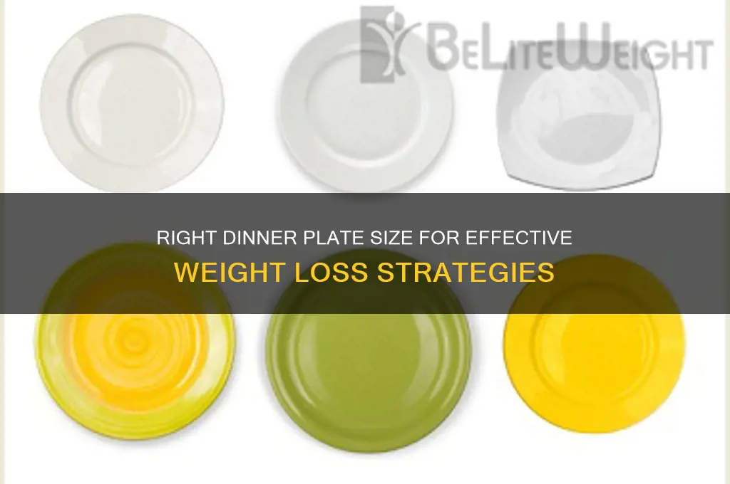 what size dinner plate to lose weight