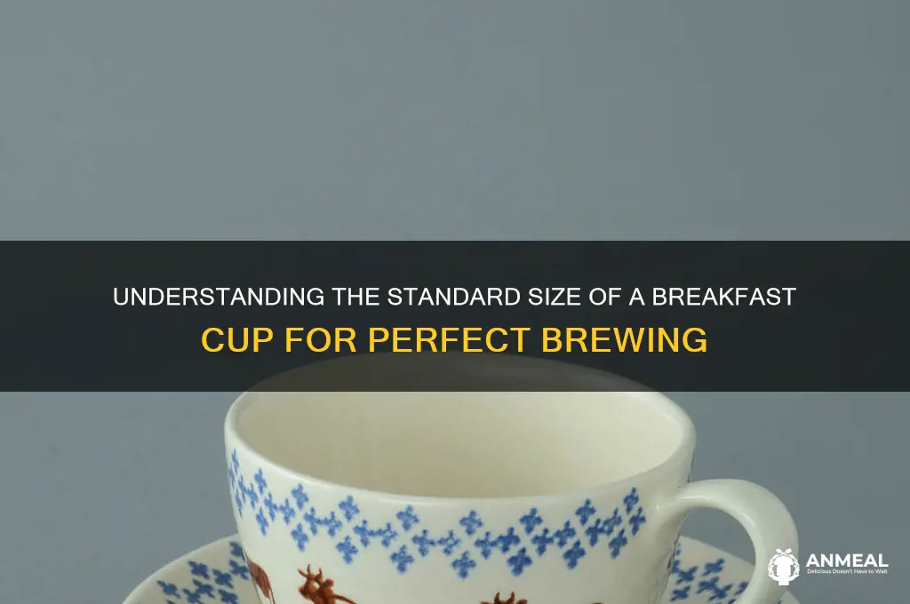 what size is a breakfast cup