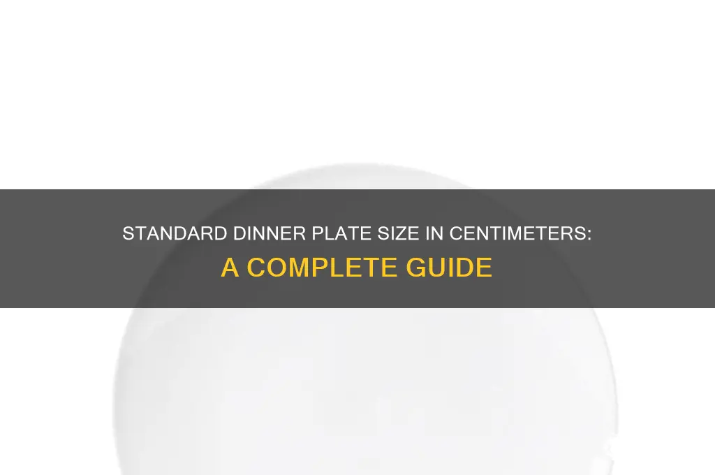 what size is a dinner plate in cm
