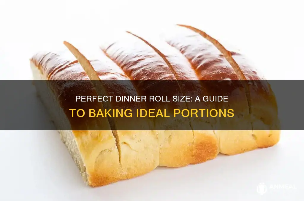 what size is a dinner roll