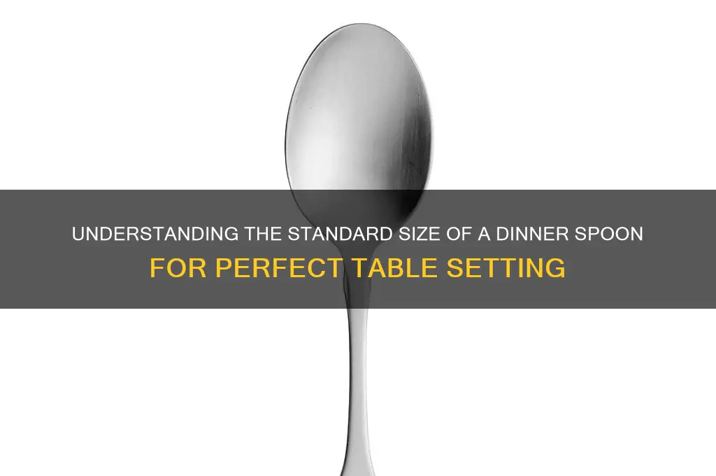 what size is a dinner spoon