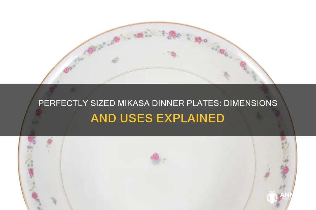 what size is a mikasa dinner plate