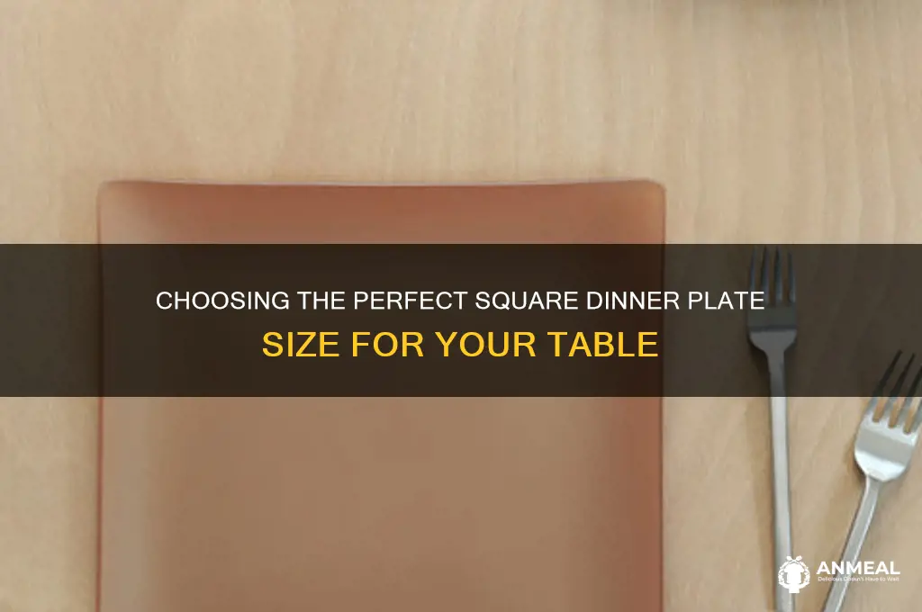 what size is a square dinner plate