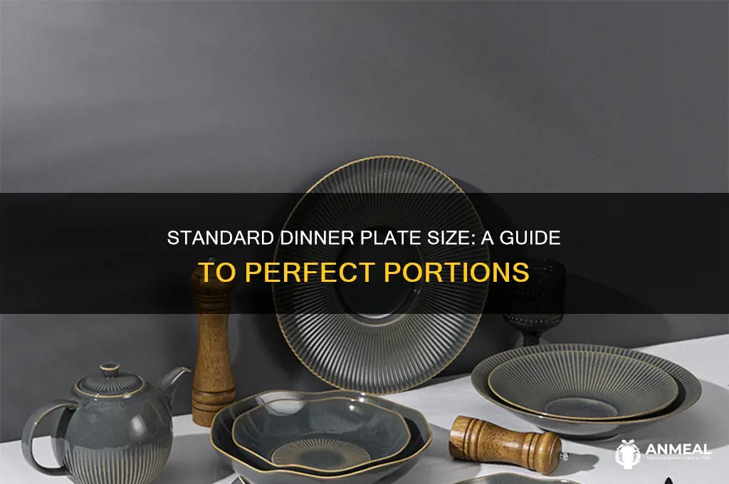 what size is a standard dinner plate
