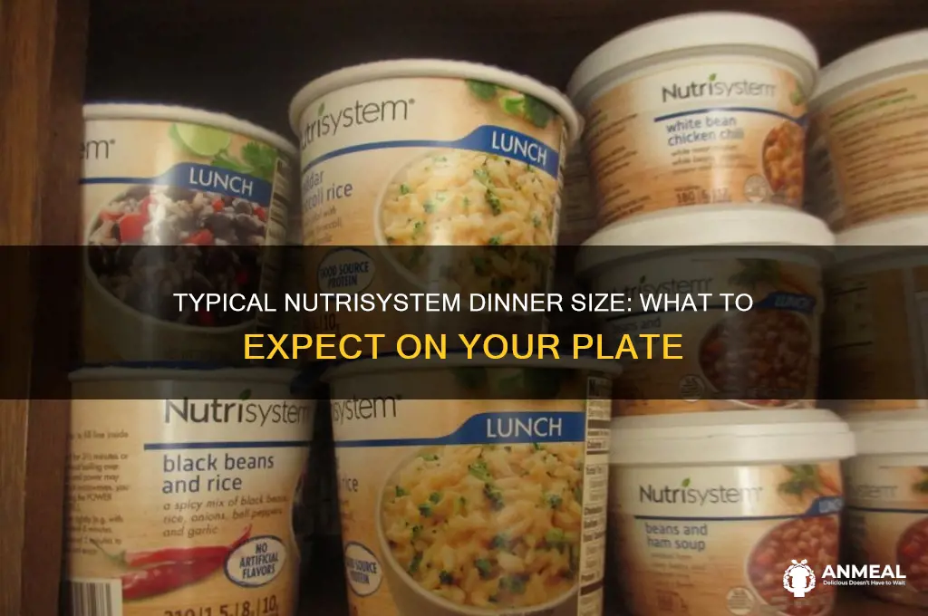 what size is typical nutrisystem dinner