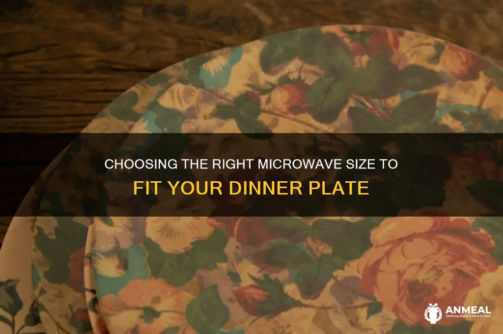 what size microwave fits a dinner plate