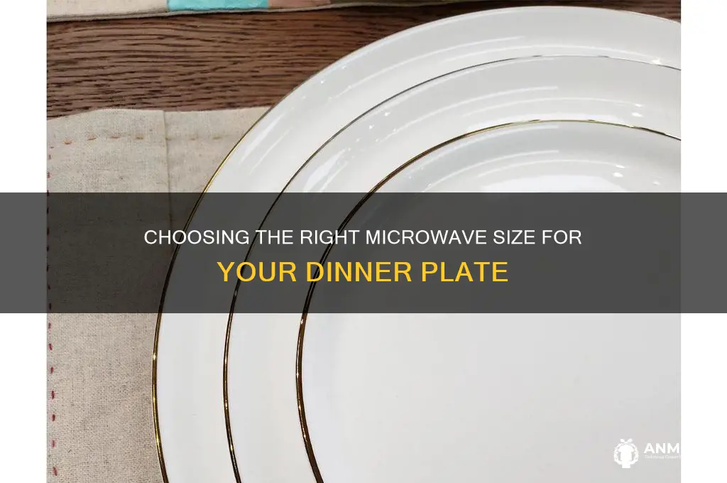 what size microwave for dinner plate