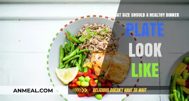 Perfect Portions: Visual Guide to a Balanced Healthy Dinner Plate