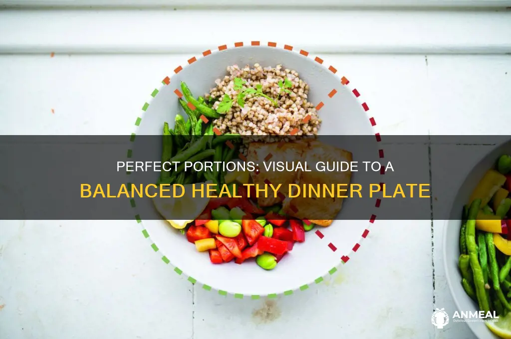what size should a healthy dinner plate look like