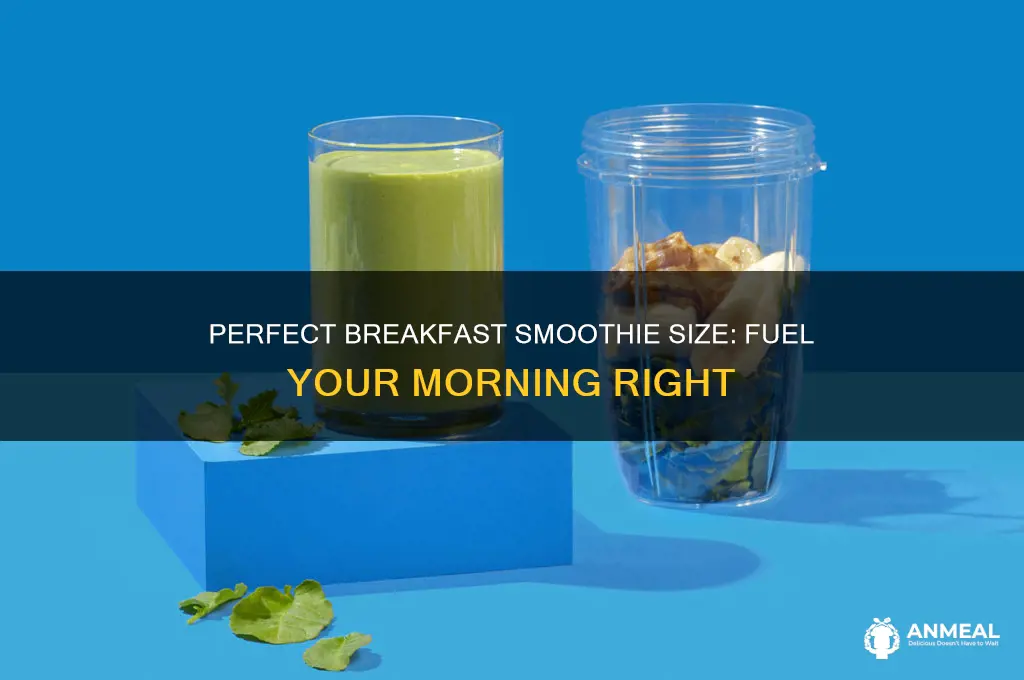 what size smoothie for breakfast