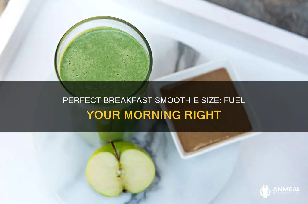 what size smoothie should i drink for breakfast