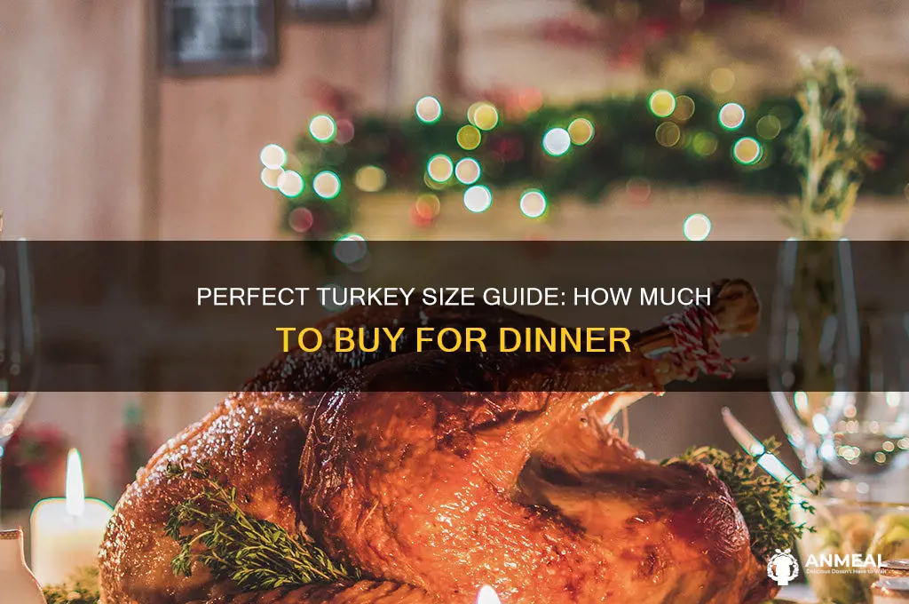 what size turkey to buy for dinner