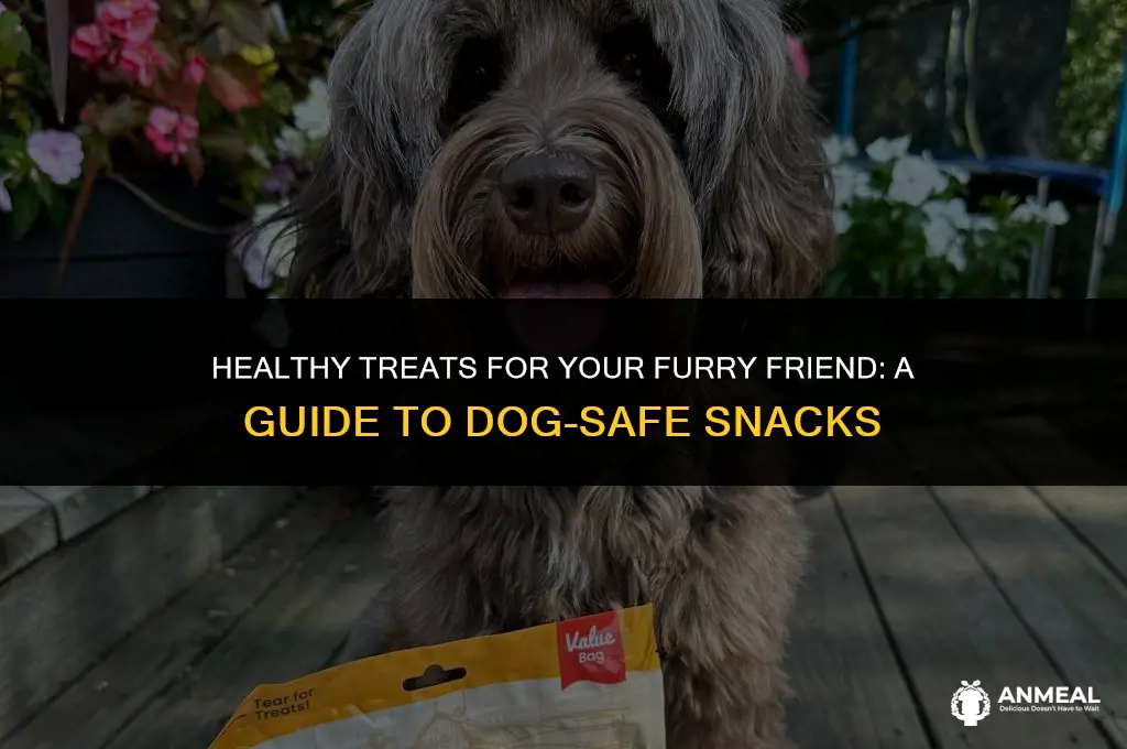 what snacks can dogs eat