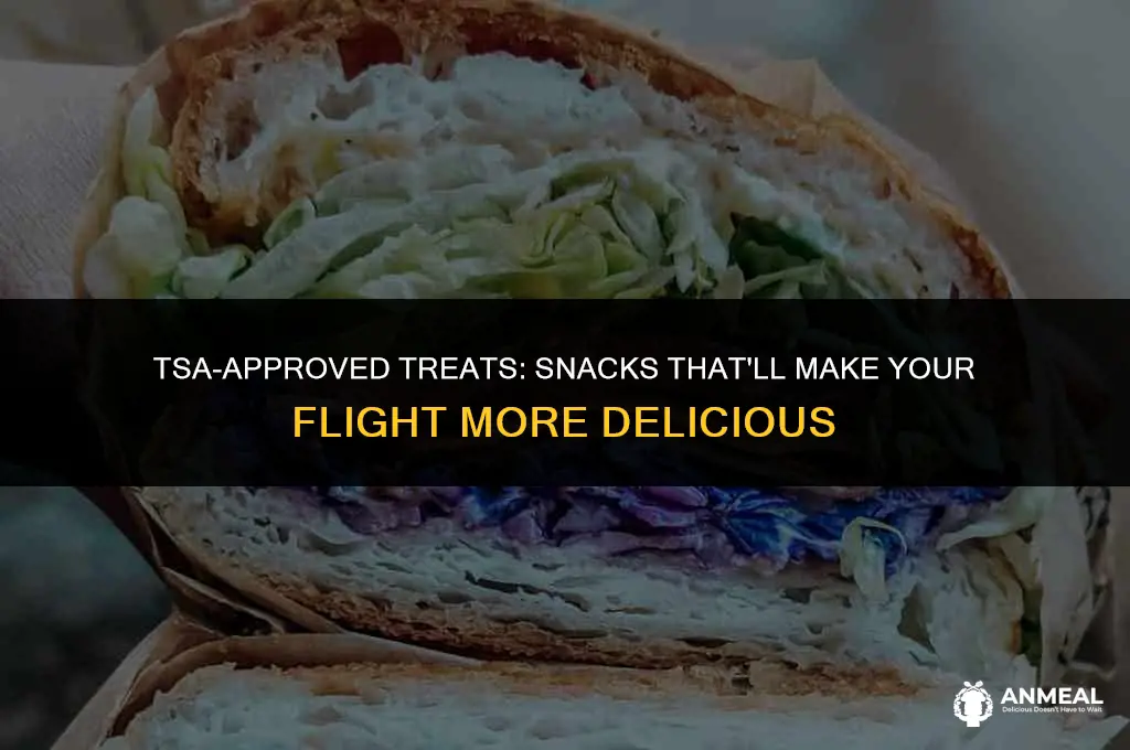 what snacks can i bring through tsa