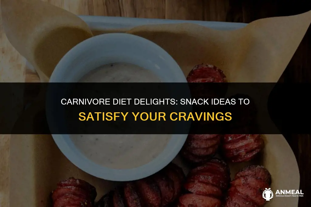 what snacks can i eat on carnivore diet