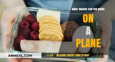 Sky-High Snacking: Delicious Treats to Pack for Your Flight