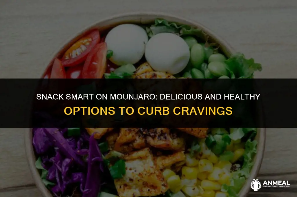 what snacks to eat on mounjaro